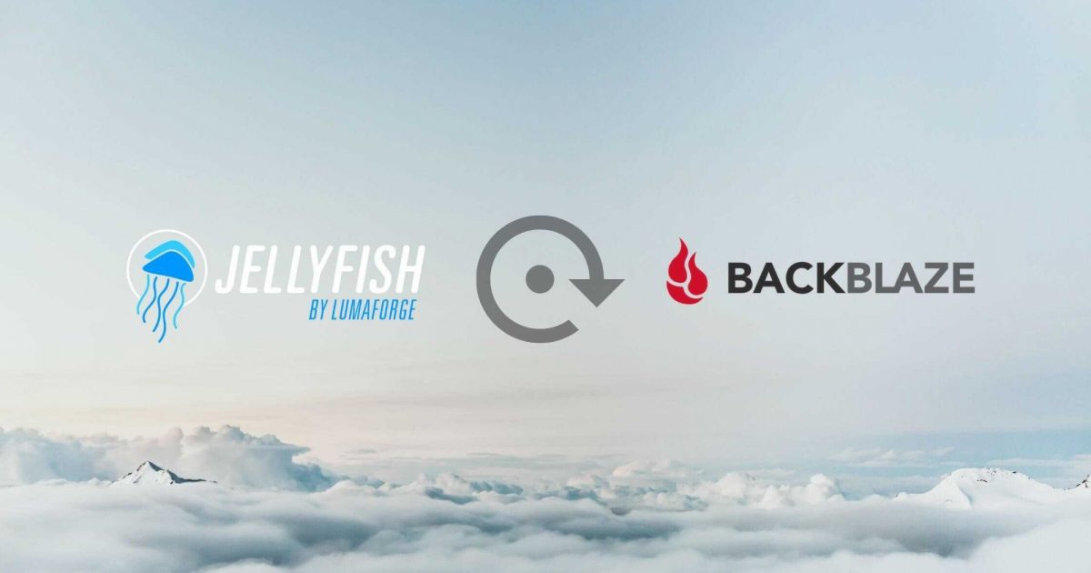 backblaze support