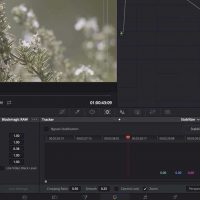 Bmd raw blog hero